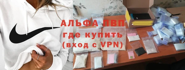 стаф Вяземский