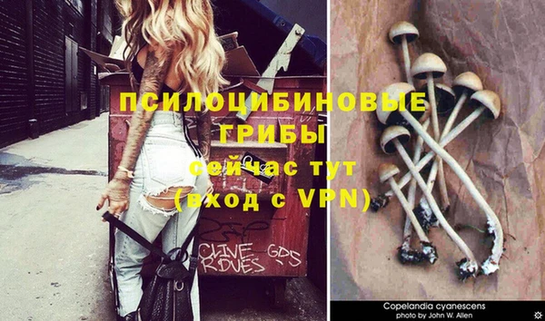 круглые Вязьма
