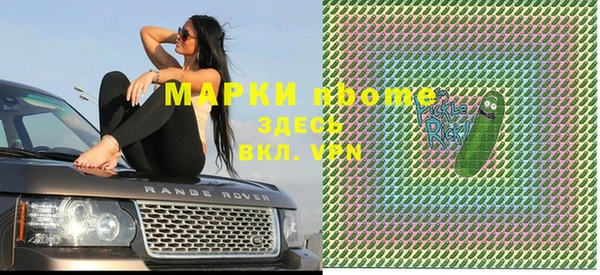 стаф Вяземский