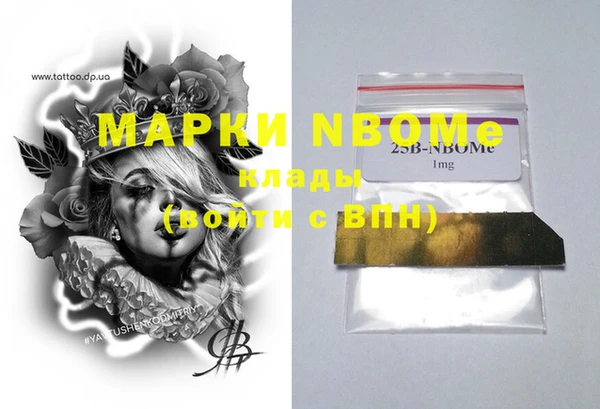 стаф Вяземский