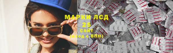 стаф Вяземский