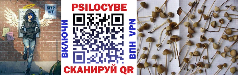 Псилоцибиновые грибы Magic Shrooms Купить Кохма